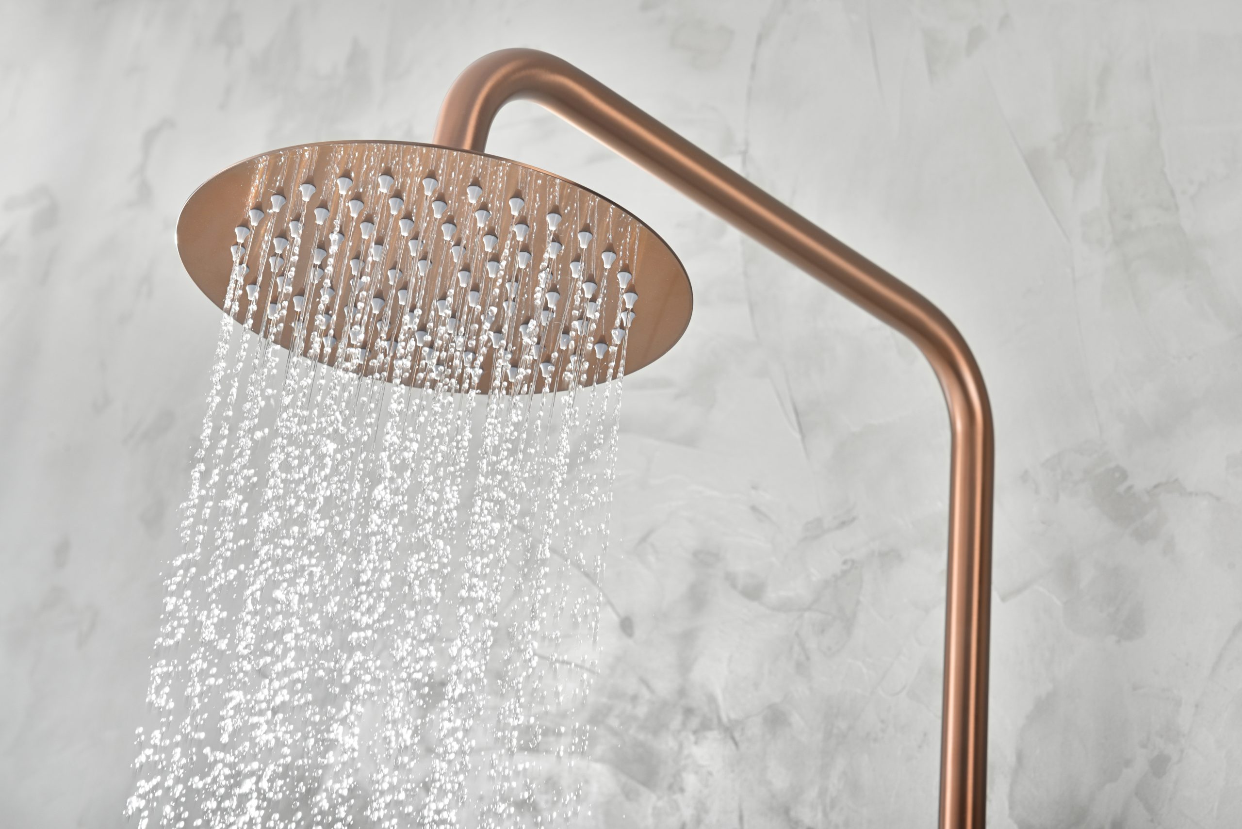 TNRASDML0-2-1-scaled