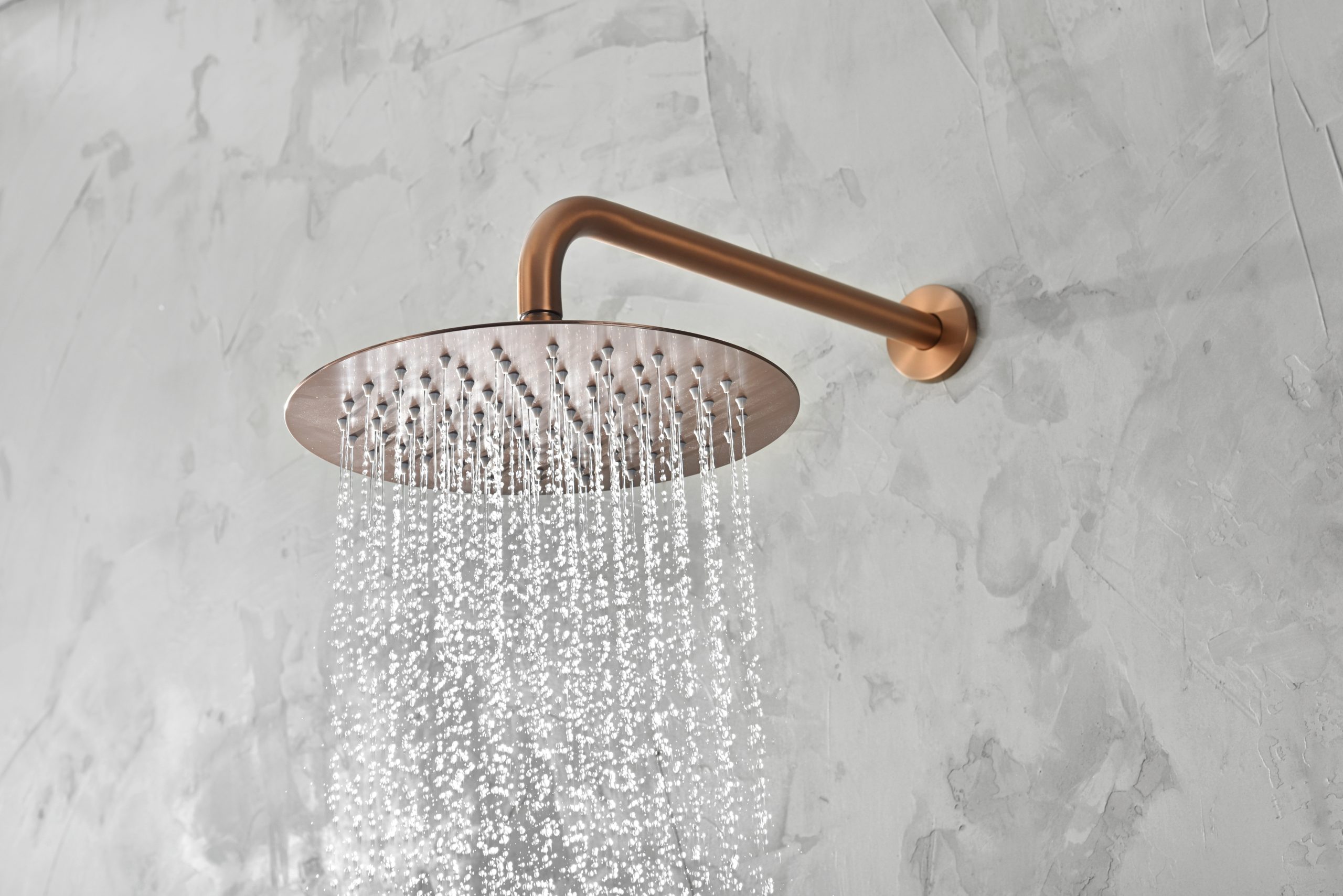 TNRASDML2-2-1-scaled